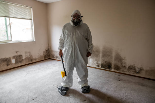 Best Commercial Mold Remediation in Upland, PA